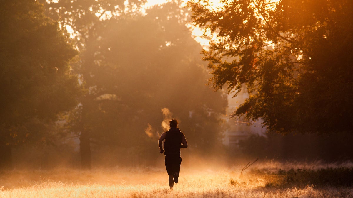 Some Ultrarunners Are Ditching the Long Run. Should You?