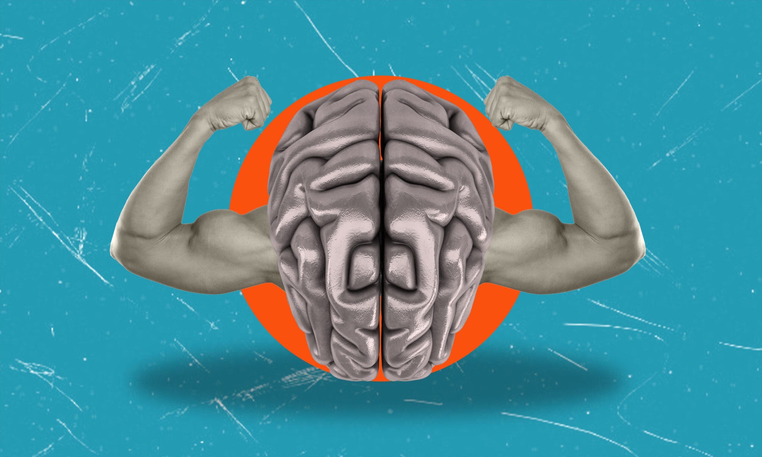 A brain is positively impacted by endurance exercise.