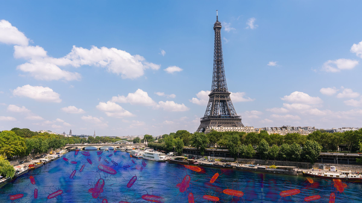 Deja Vu in Paris as Water Quality Again Threatens Olympic Triathlon Swim