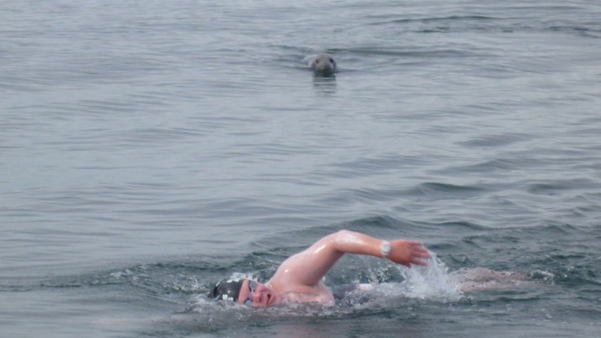 What To Do When Aquatic Critters Attack During a Swim