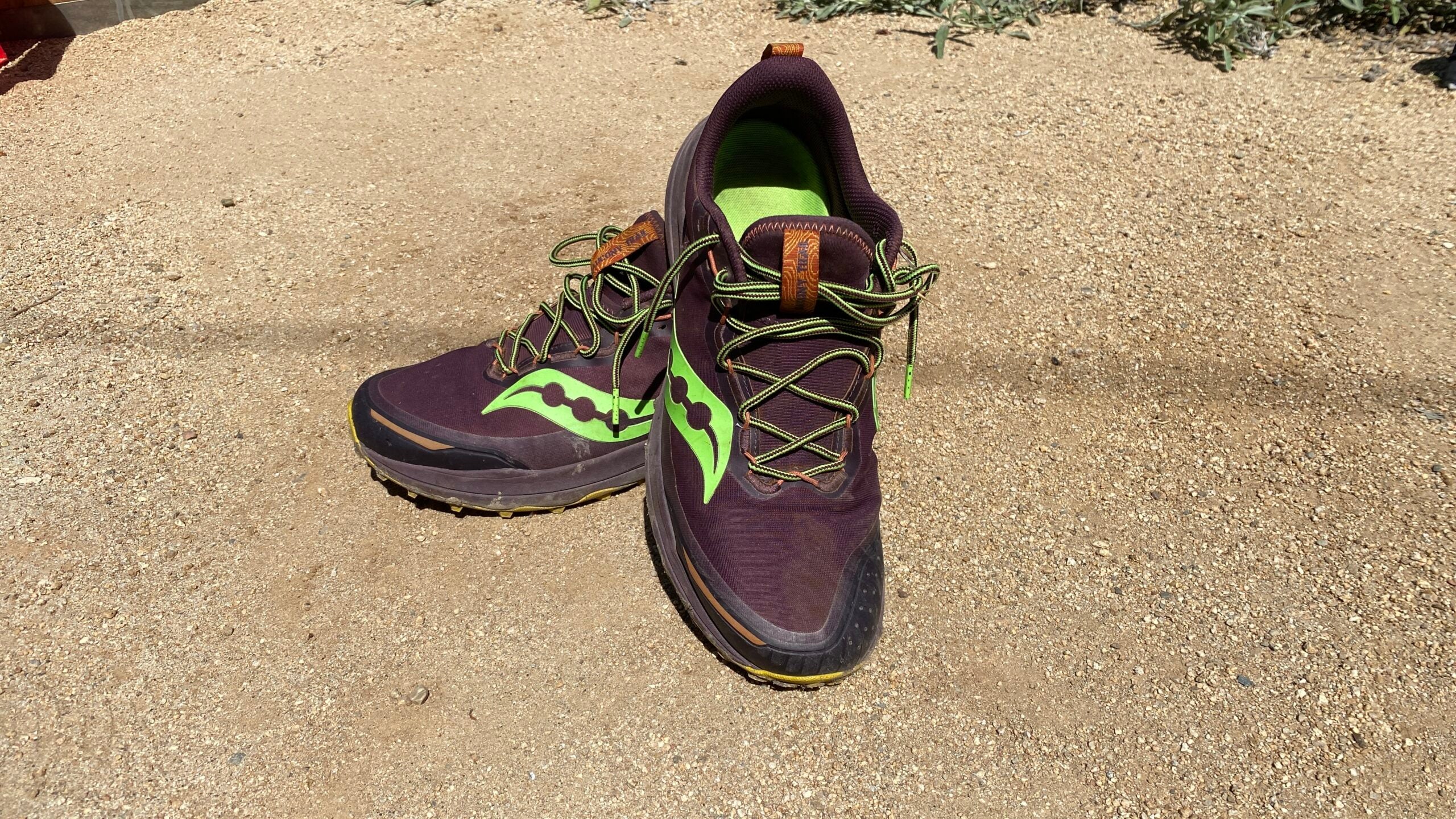 High Cushion Trail Running Shoes for the Long Run