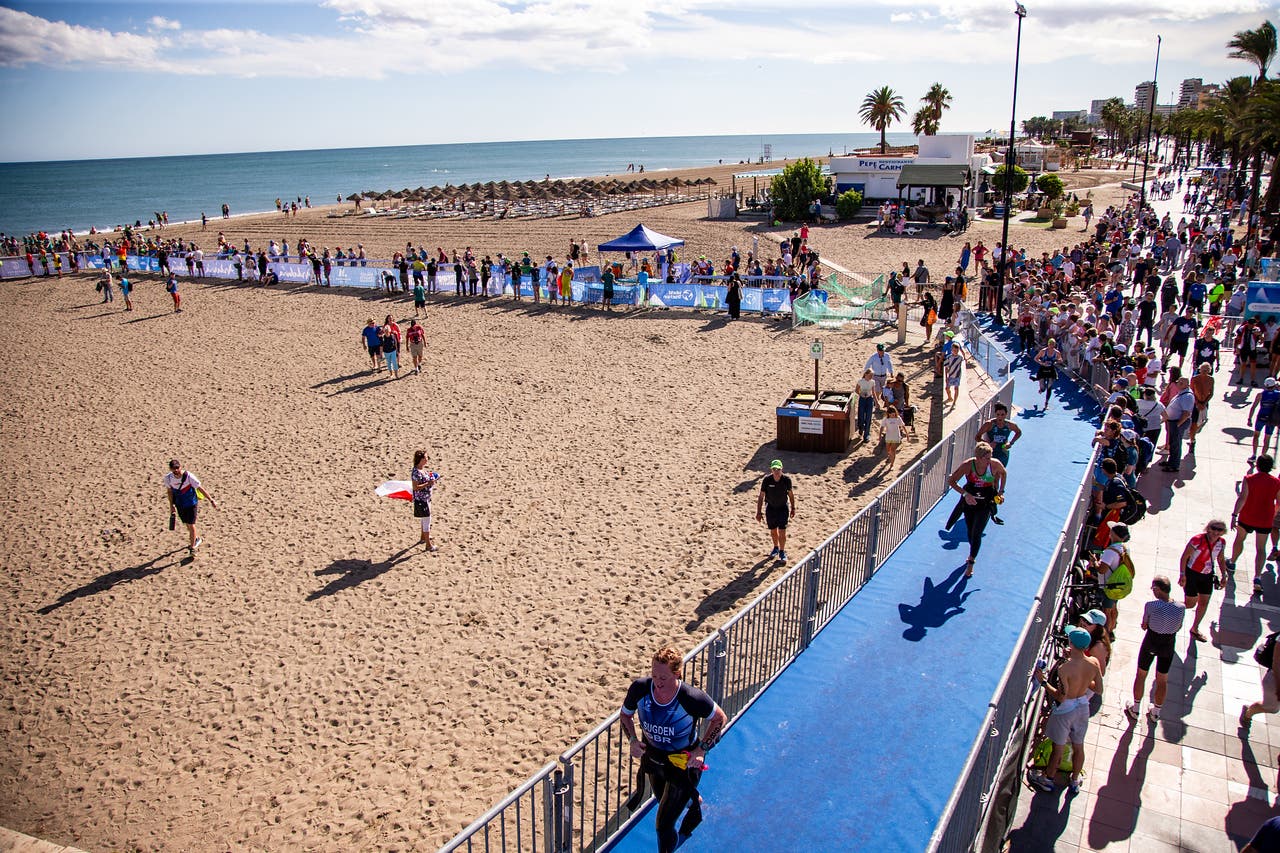 World Triathlon championship swim deaths