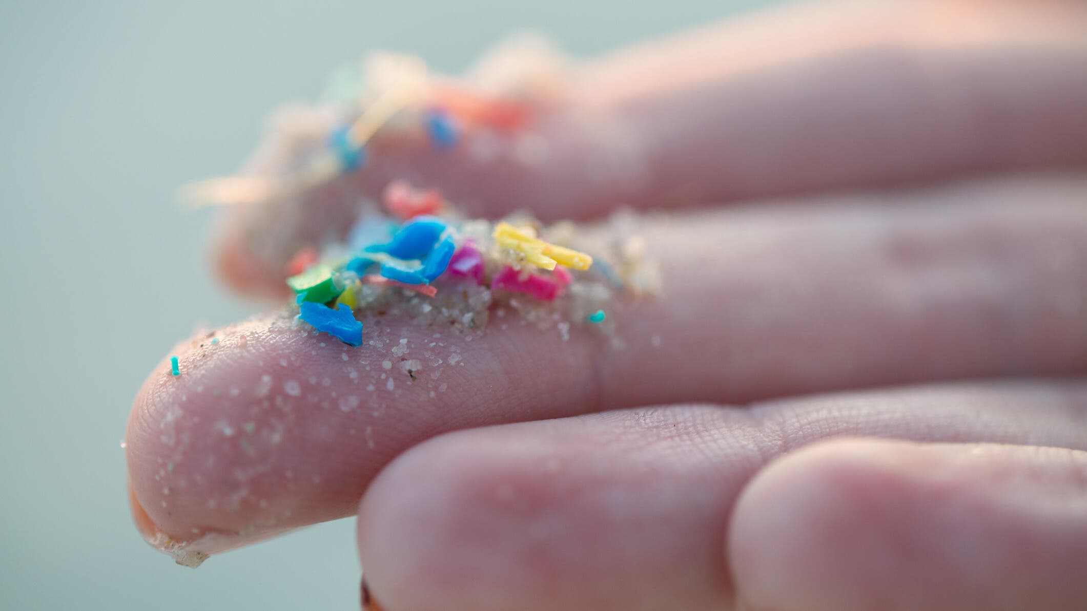 Making small changes to your habits can help reduce your exposure to microplastics over time.