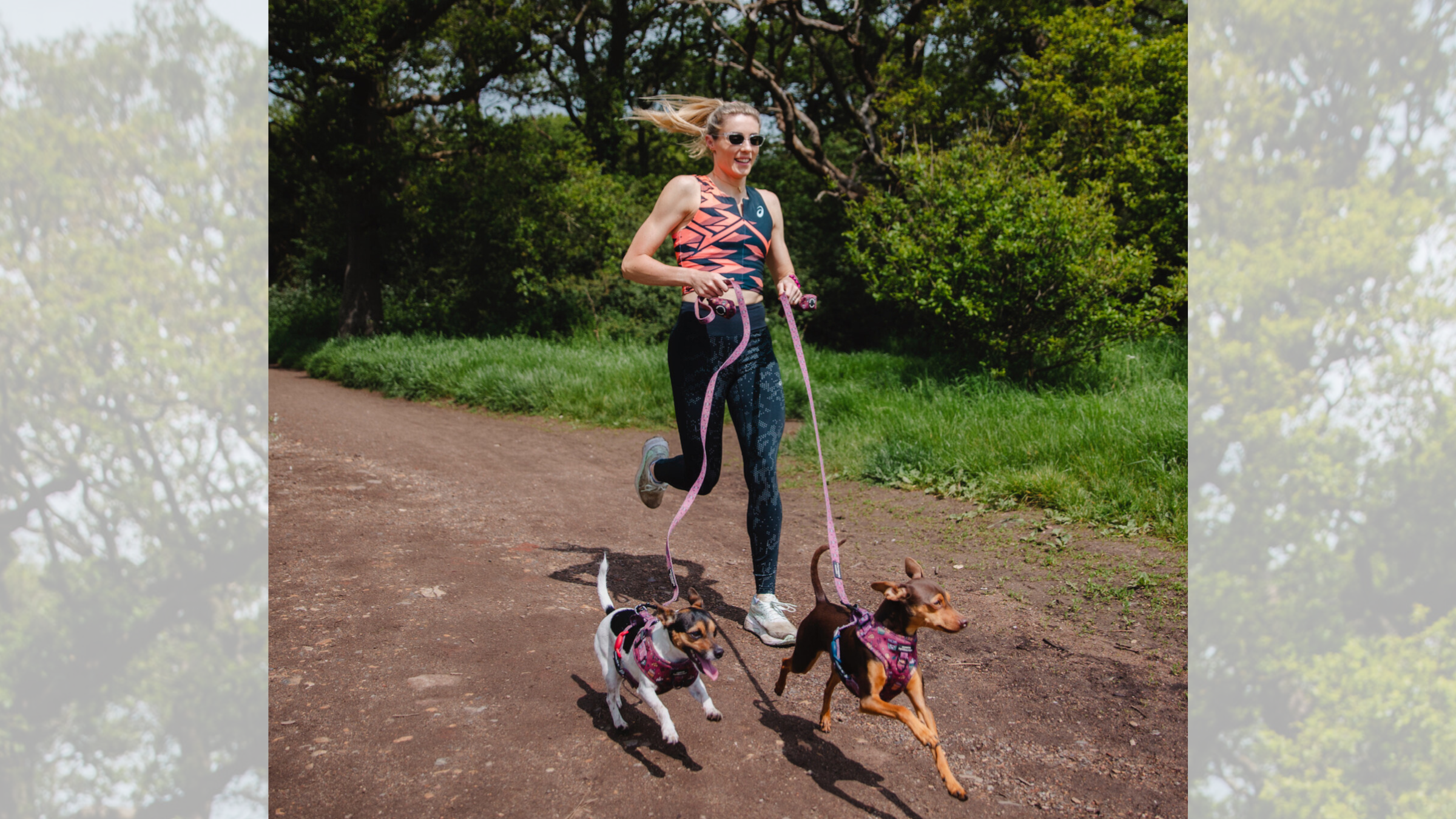 Lucy Charles-Barclay says her dogs Lola and Pickle run the house and enjoy being part of her training.