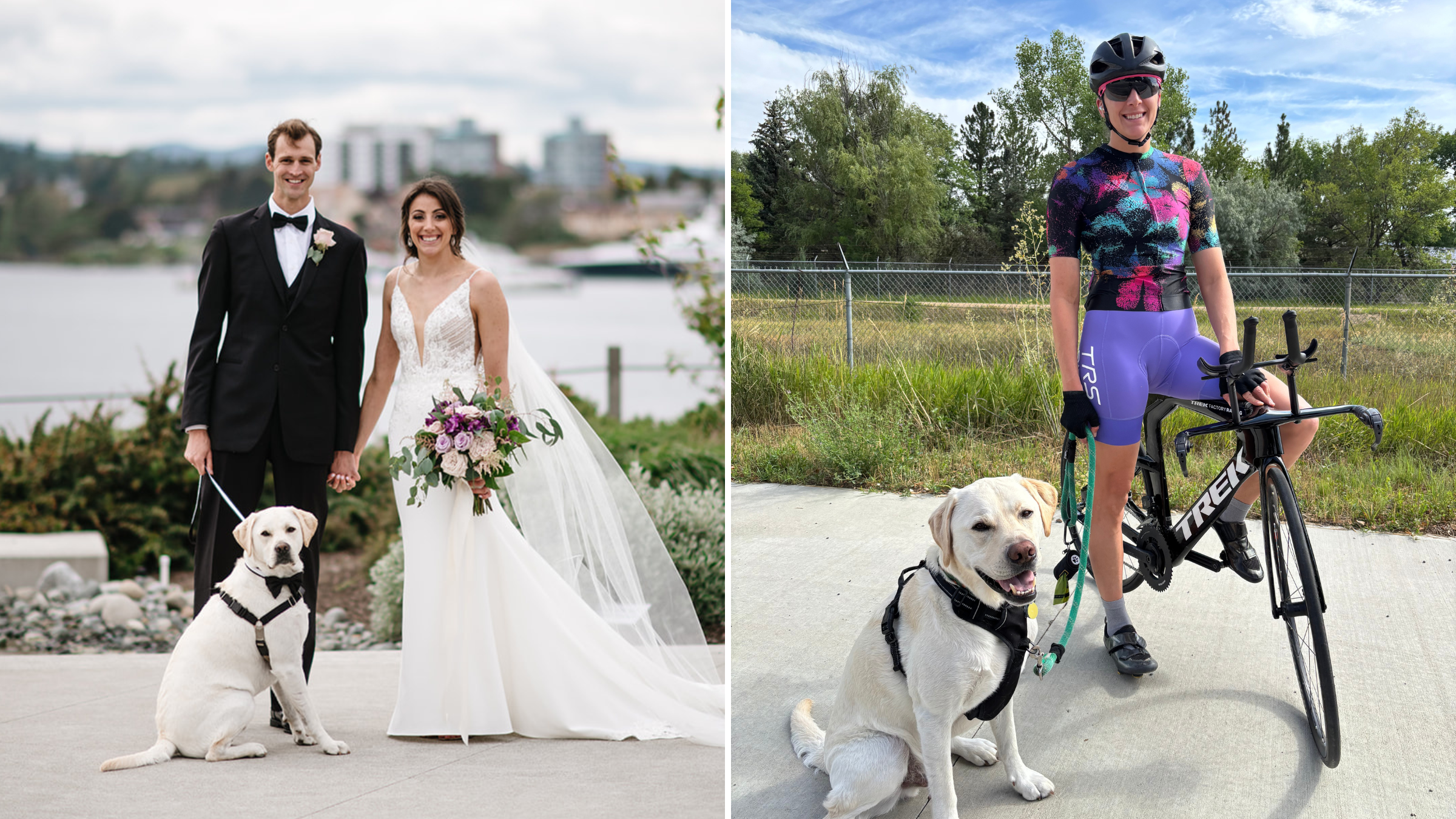 Matt Sharp and Kirsten Kasper say their dog Reggie isn't the type to join training sessions. But he likes to participate in recovery on the couch.