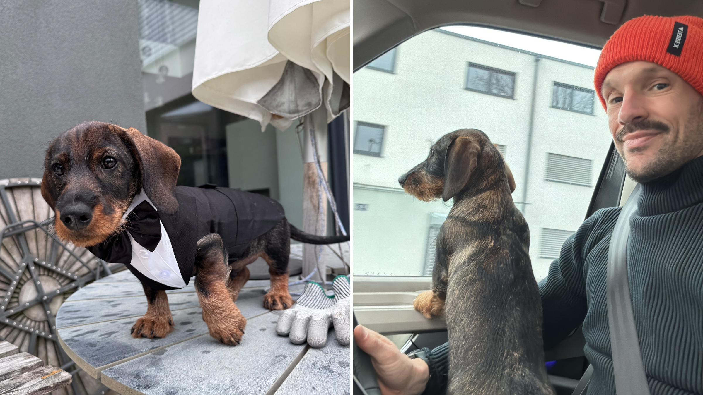 Patrick Lange is new to the life of being a dog dad, but he says Rudy helps keep things on track about what matters.