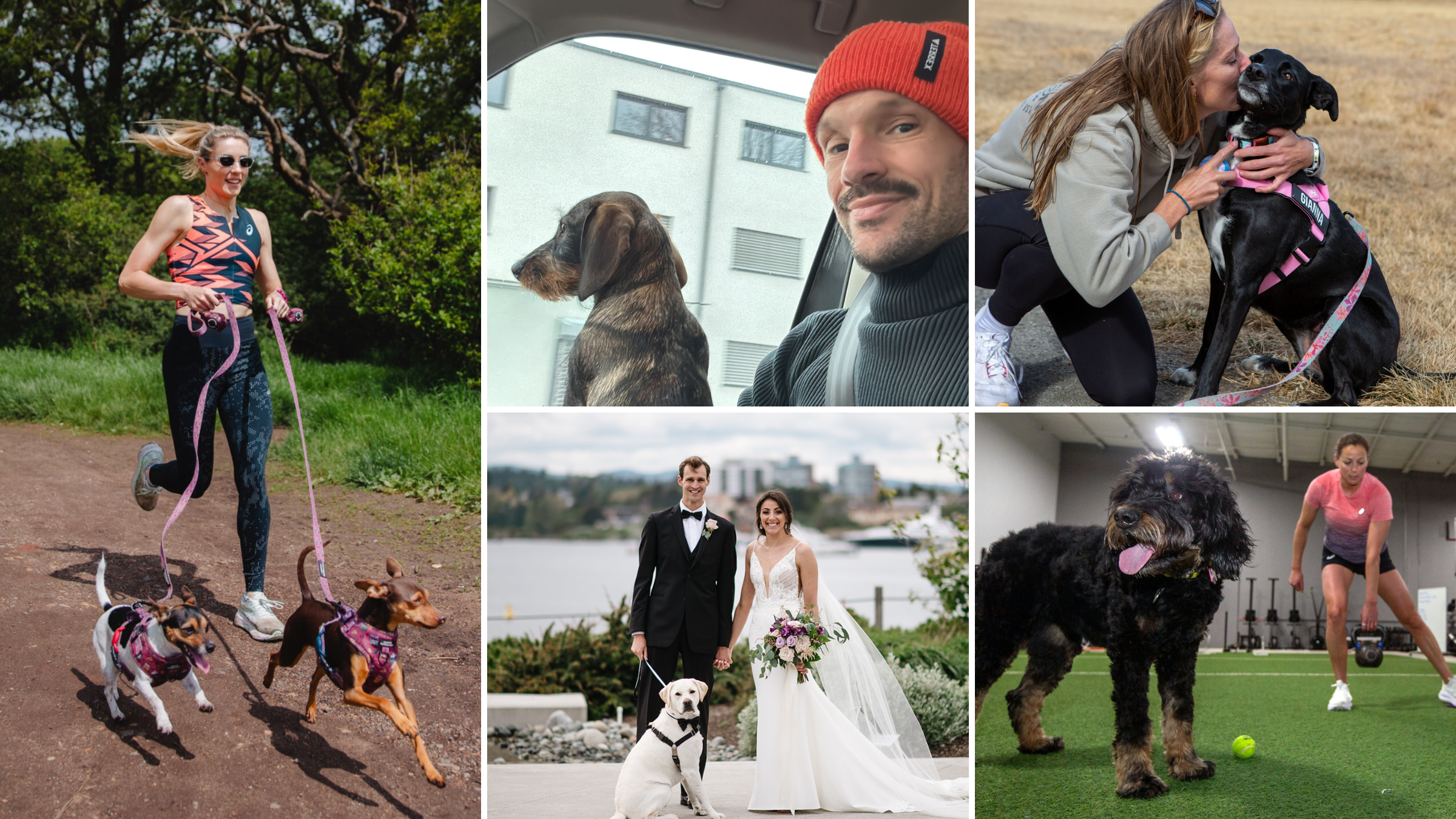 Meet These Pro Triathlete's Training Partner Dogs — Triathlete