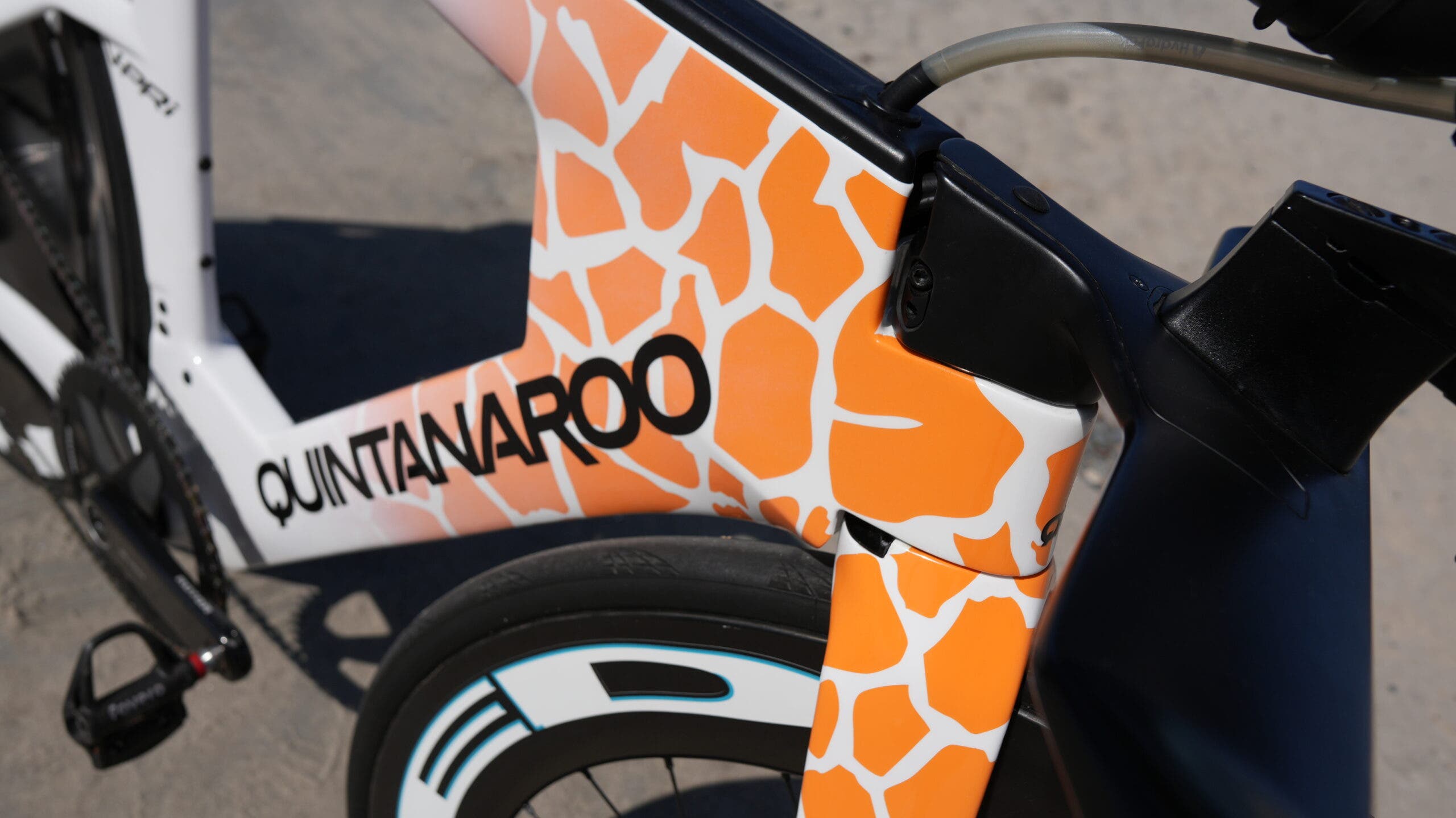 Here we take a closer look at the amazing custom paint job on Sánchez's Quintana Roo vPRi.