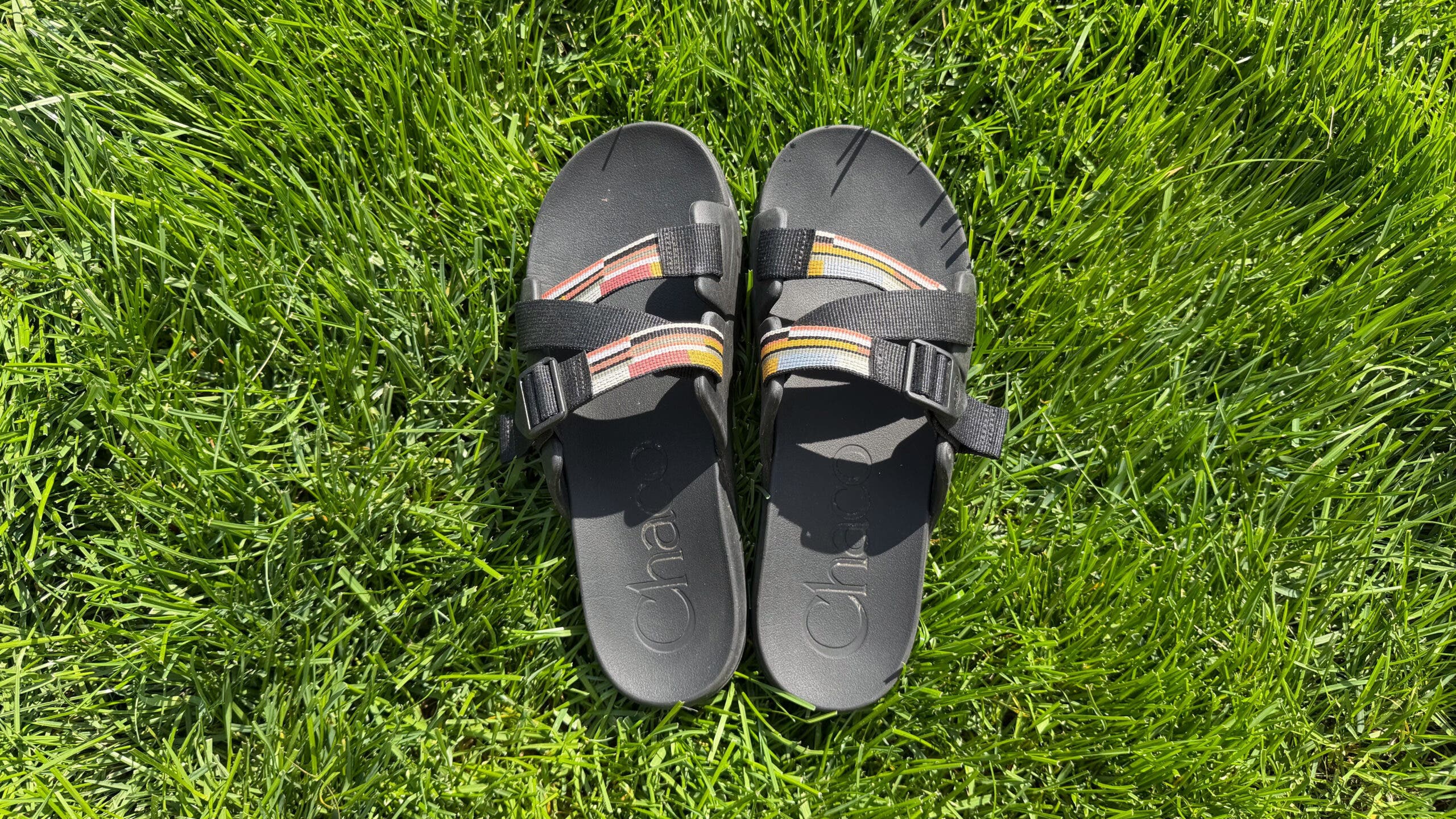 Slices of Chaco Chilos sitting on lush green grass.