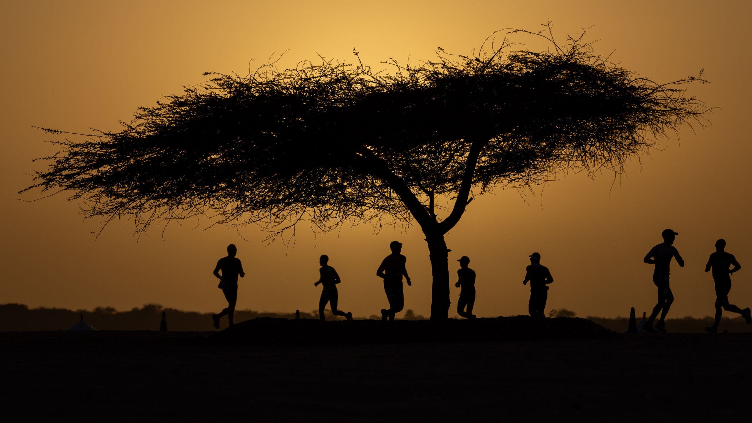 Regulating your nutrition and fueling is just as important as swimming, cycling and running a triathlon.