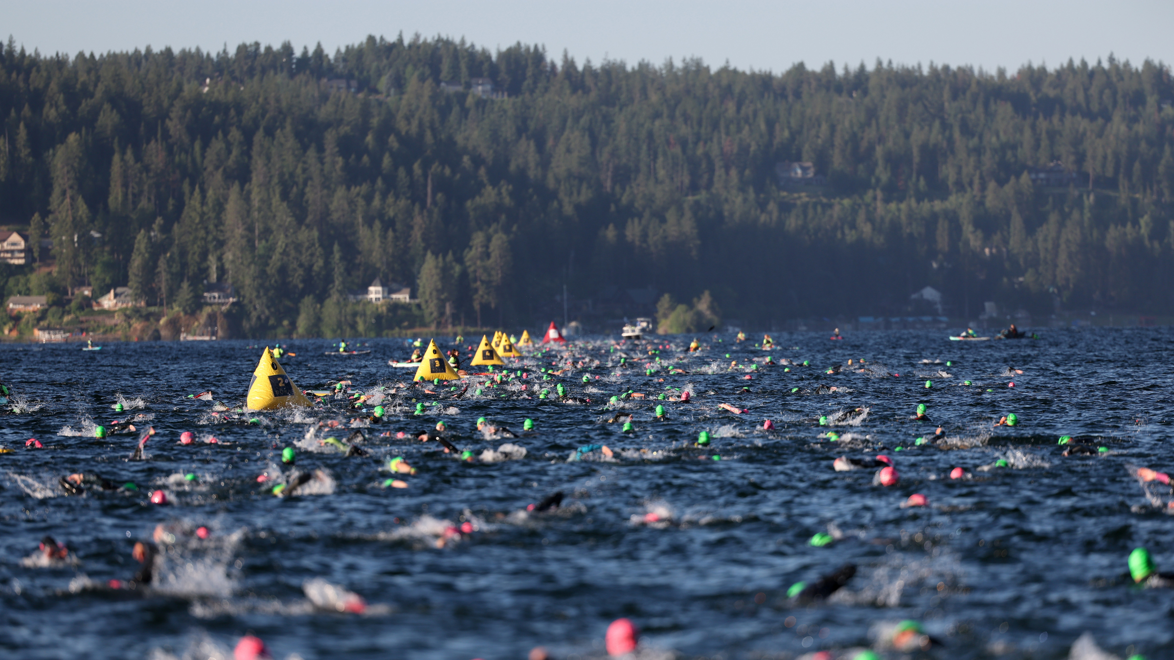 hundreds of triathletes in swim caps in lake swimming with pine trees in background