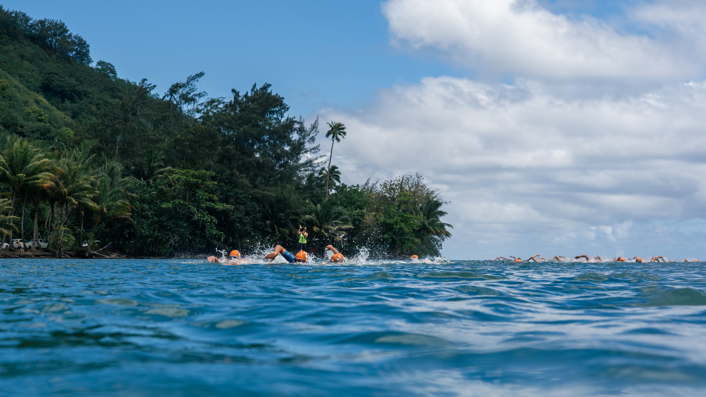 water-level photo of athletes swimming bright blue water with trees on shore in the background