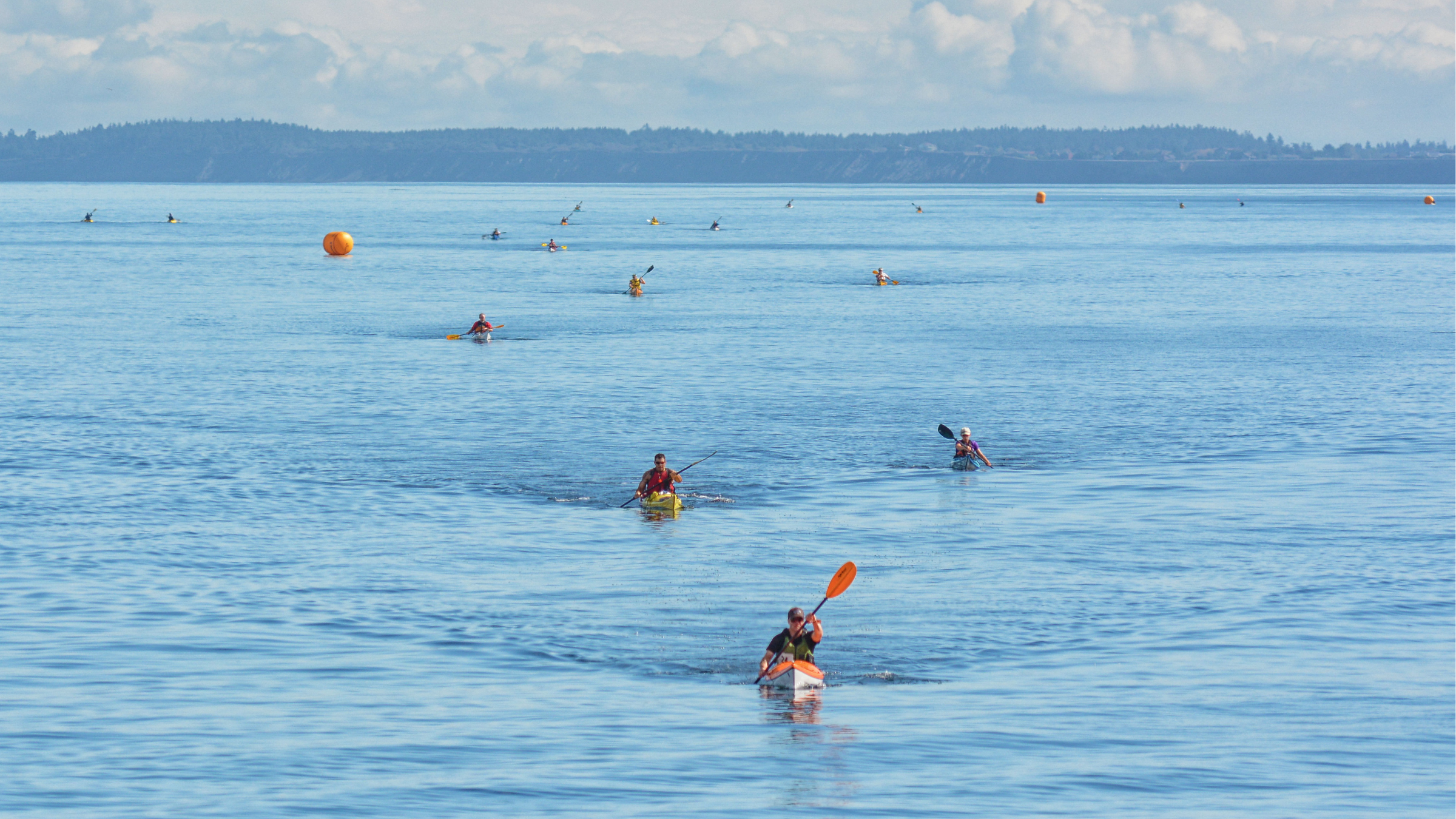 aerial shot of multiple kayakers paddling toward the camera with forested land in the background