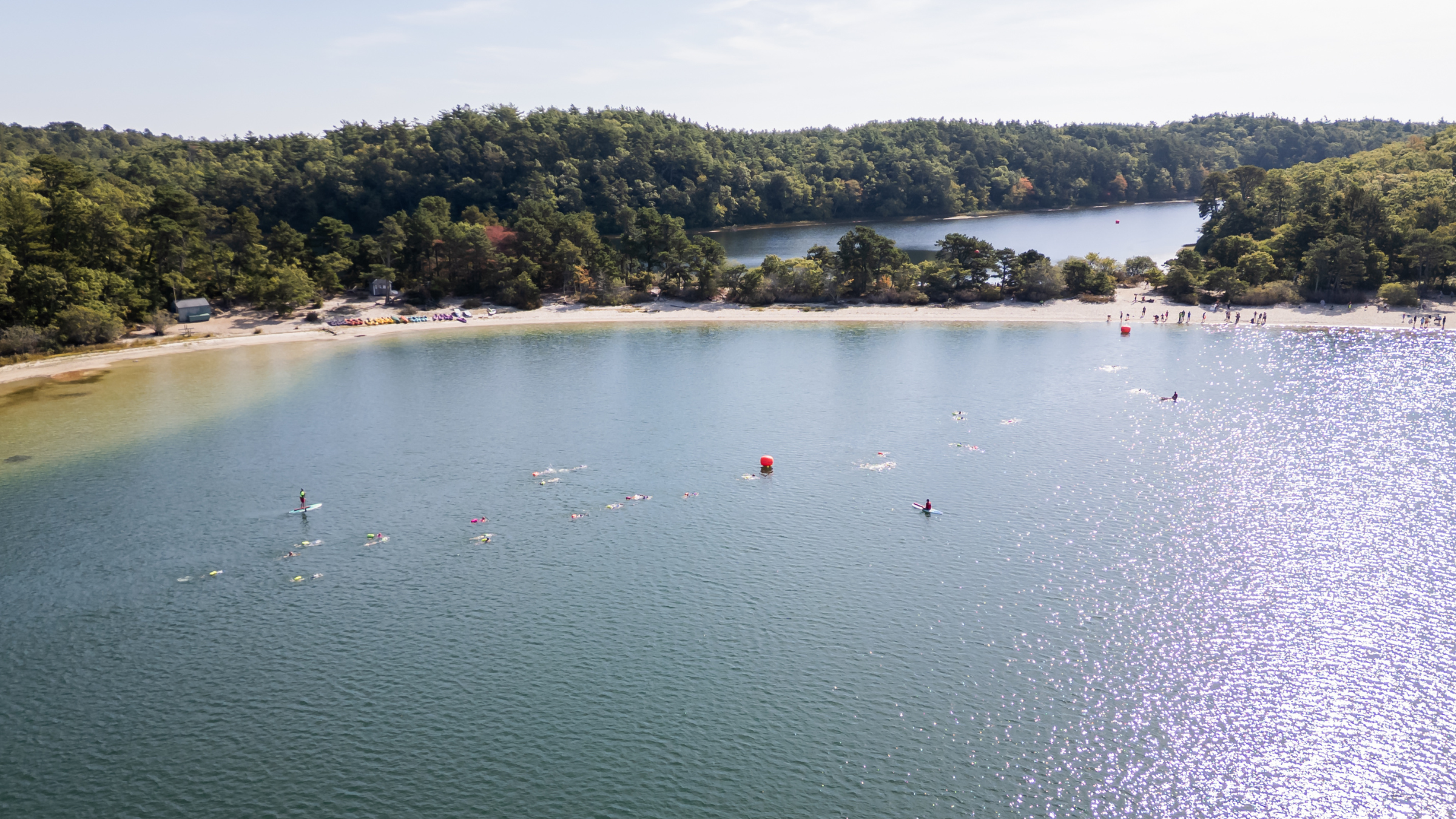 aerial photo of Gut Check Cape Cod, with dozens of kayakers in the water with a shoreline in the background