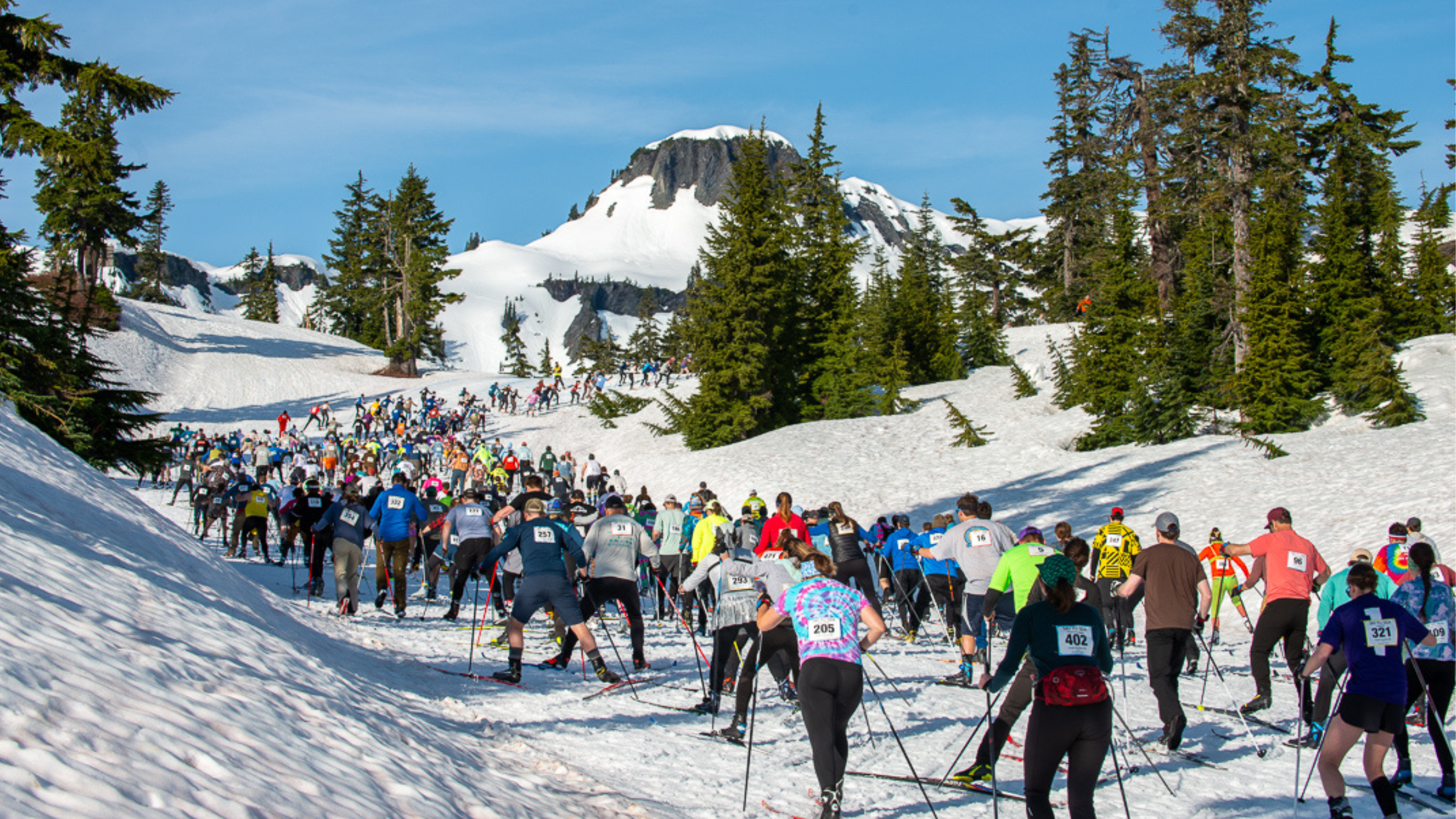 dozens of athletes cross-country ski uphill at the Ski to Sea multisport event