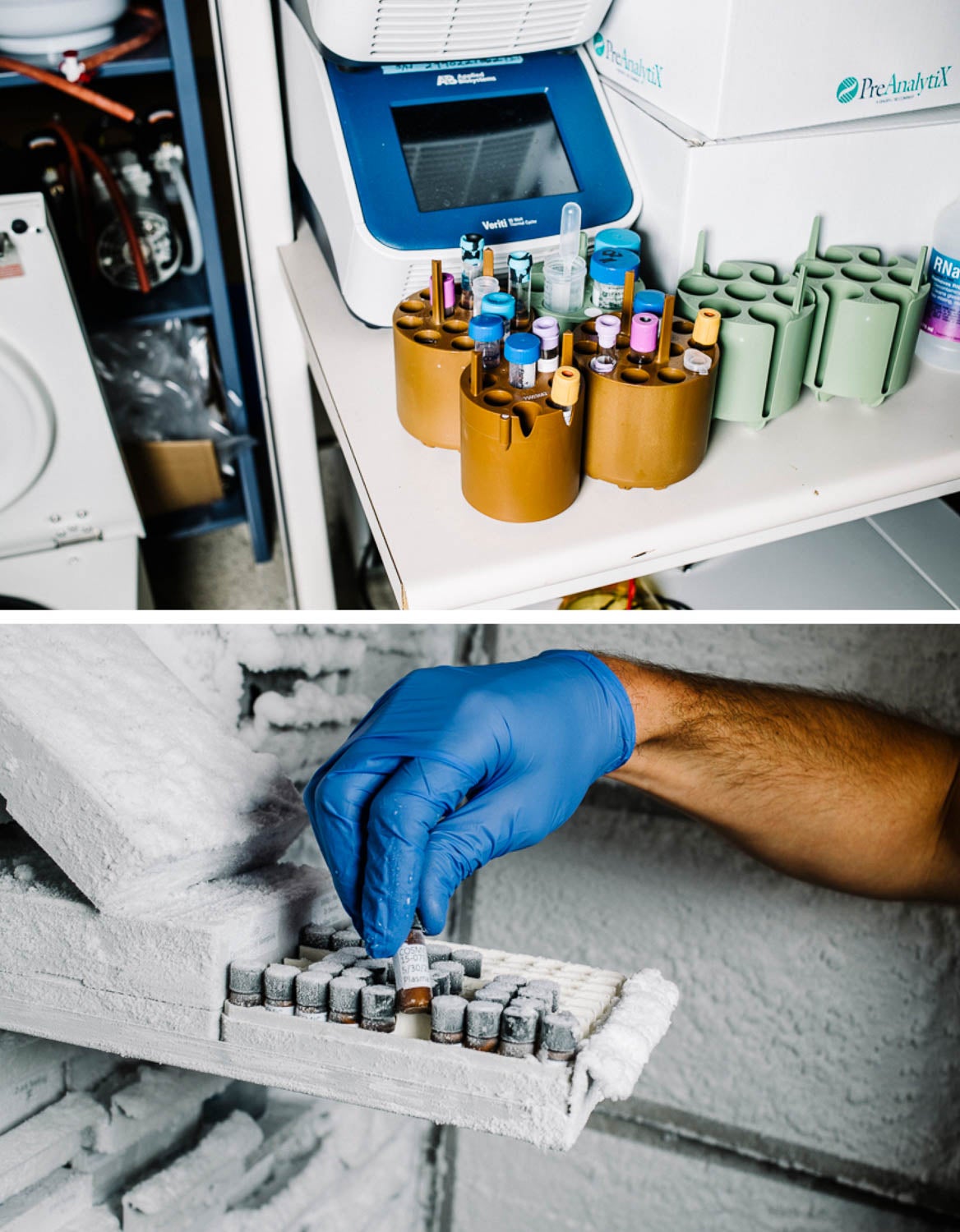 Composite of lab equipment and test tubes at CU Boulder