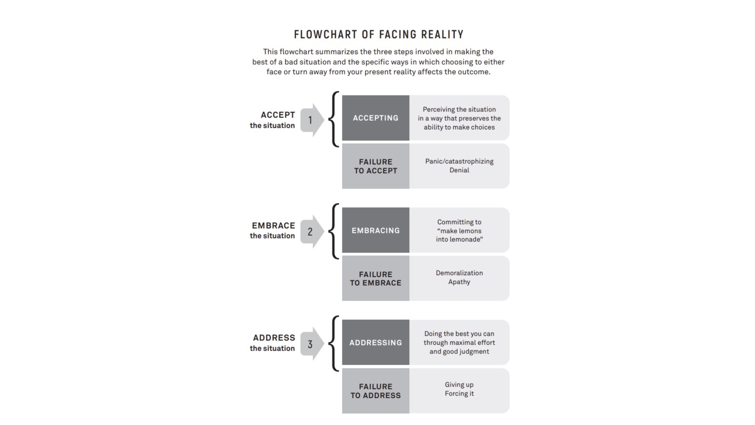 Flowchart of facing reality